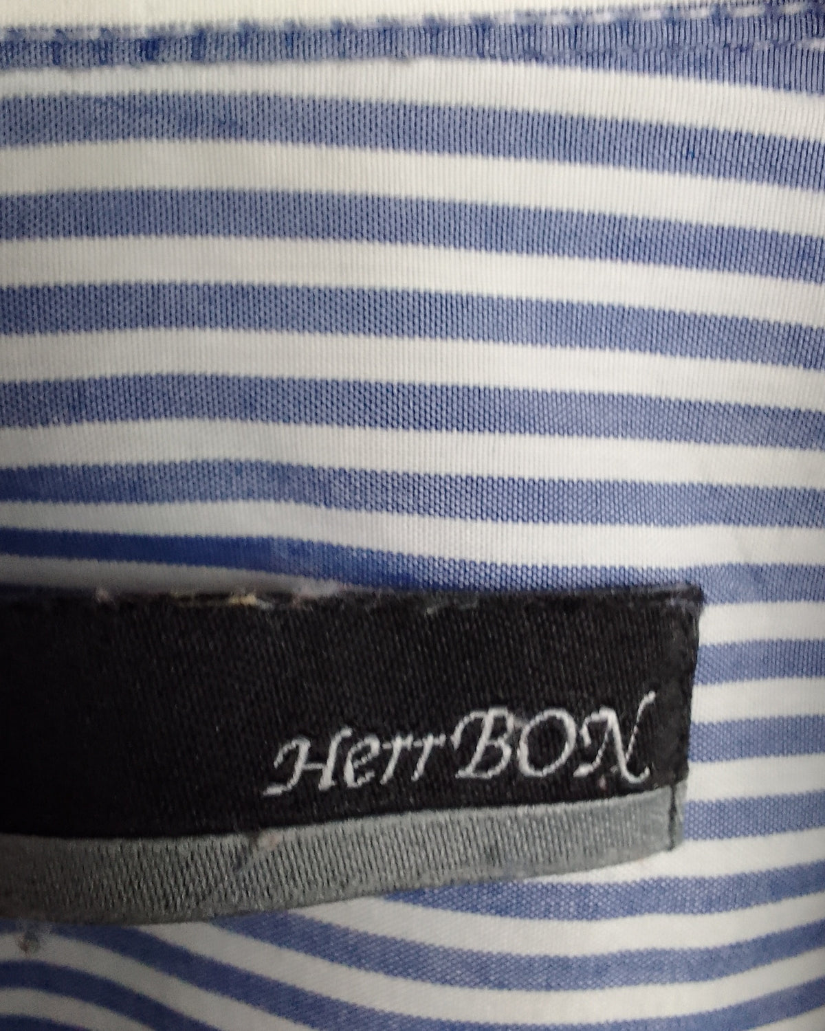 Herrbon Blue Striped Shirt