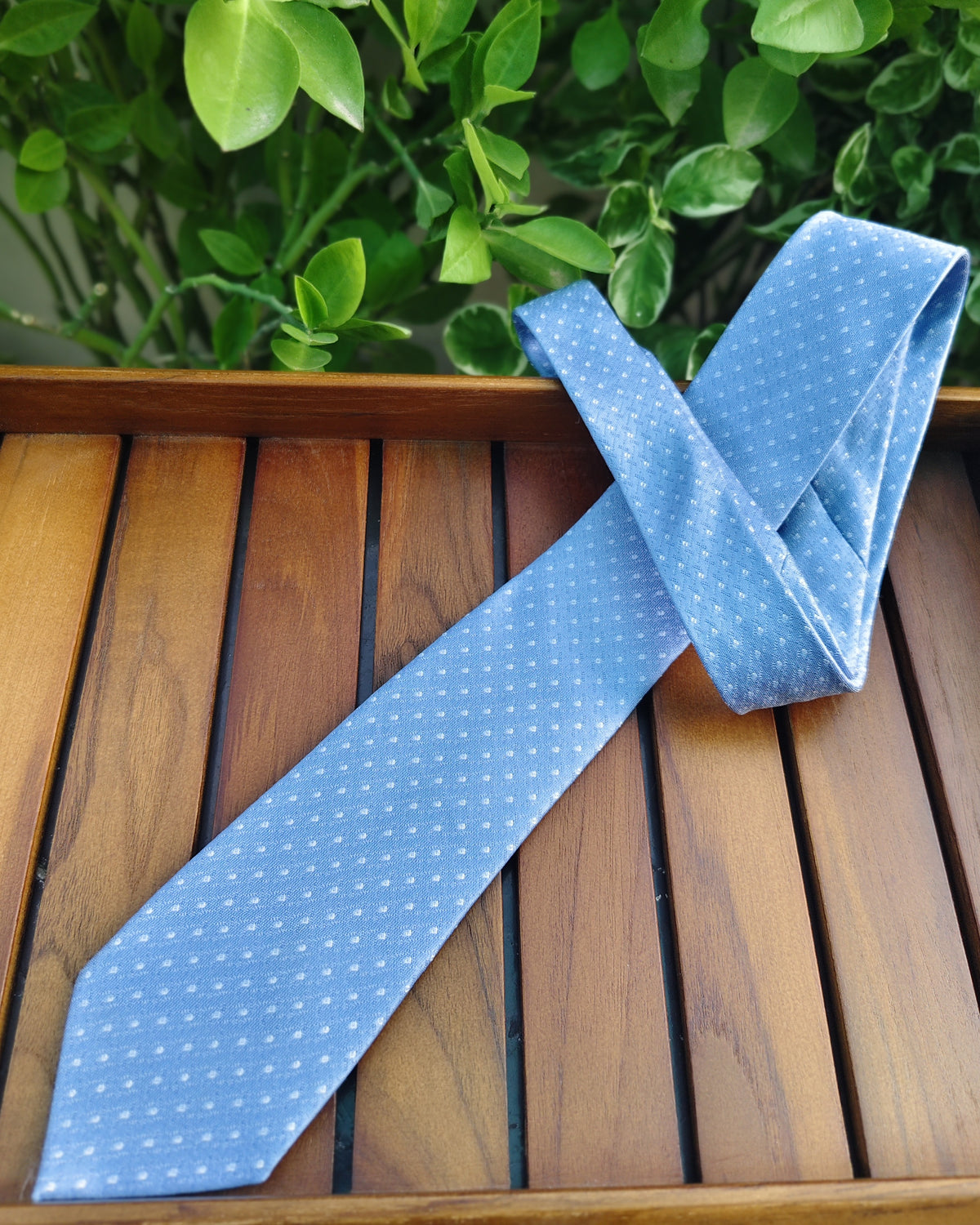 Peter England Blue Polka-Dot Tie