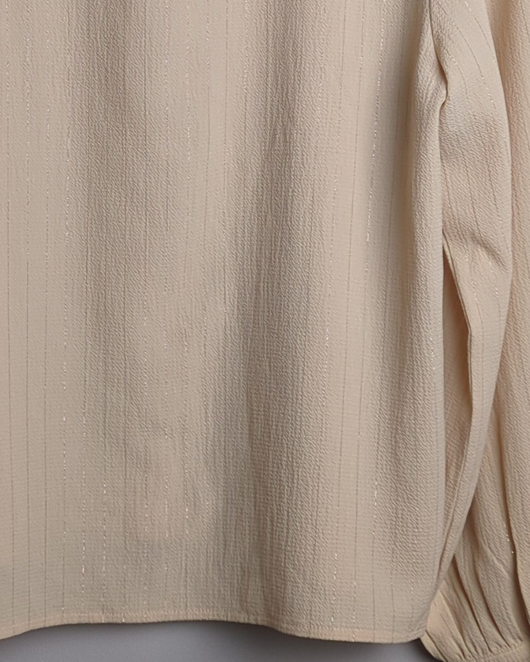 Camla Beige Sequin Blouse