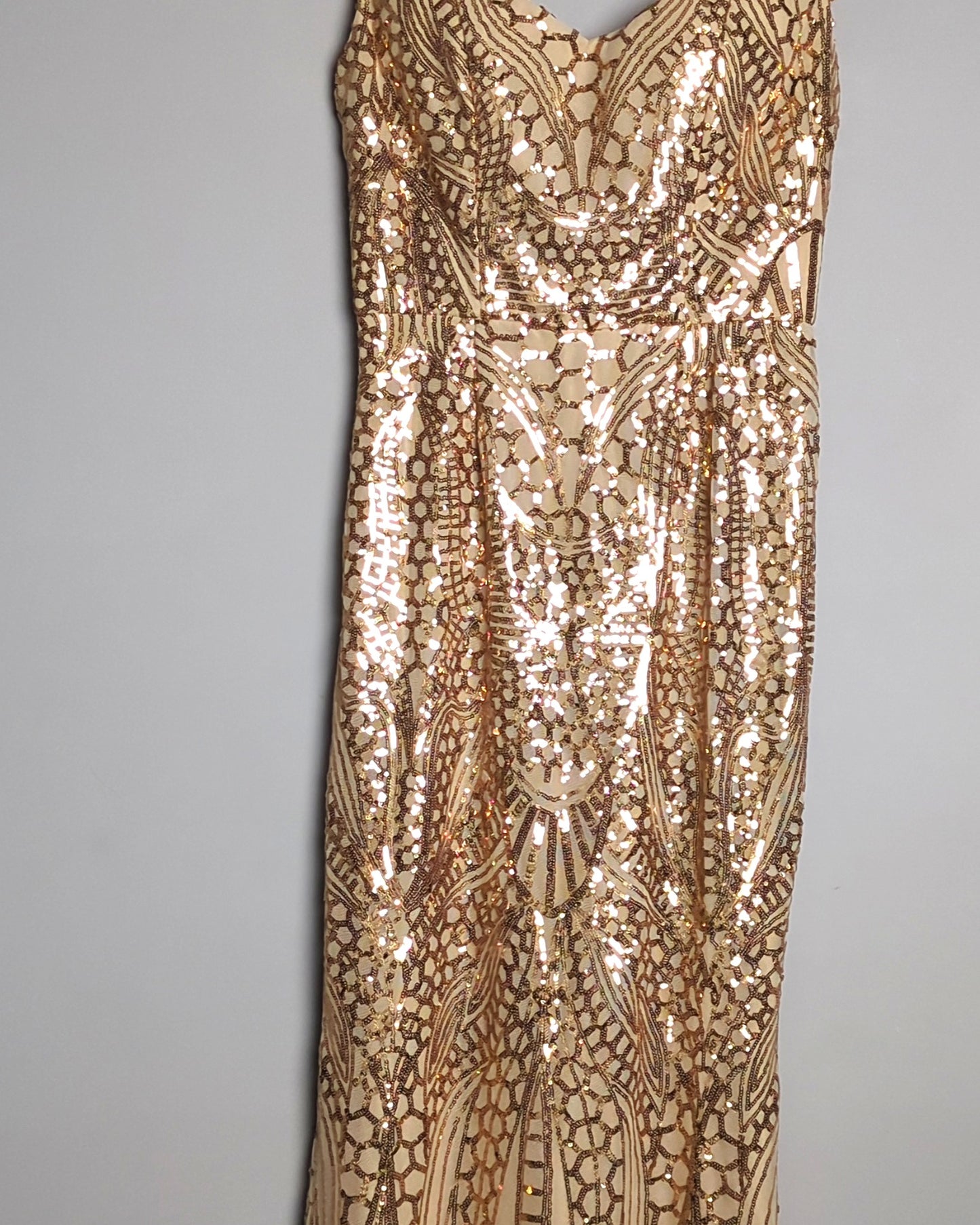 Miss Ord Beige Sequin Gown