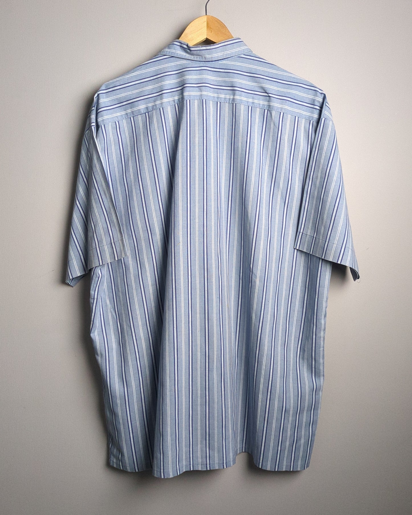 Blue Button-Down Shirt