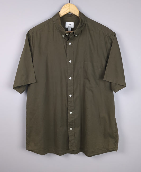 Olive Branch