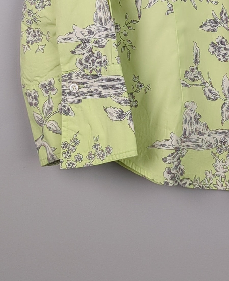 Limelight Blooms