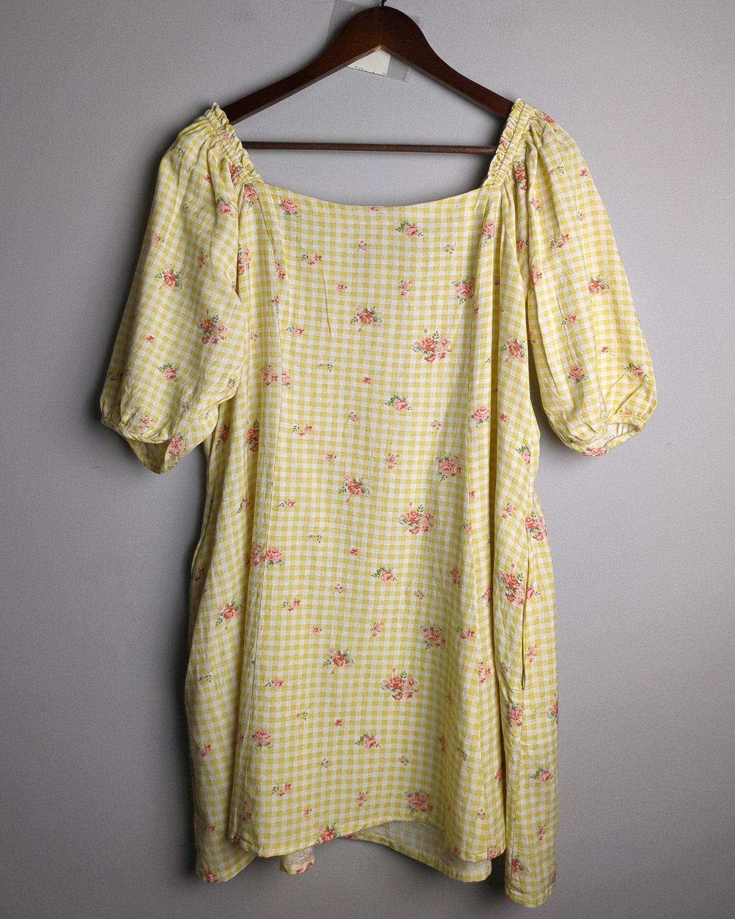 And Beige Gingham Dress