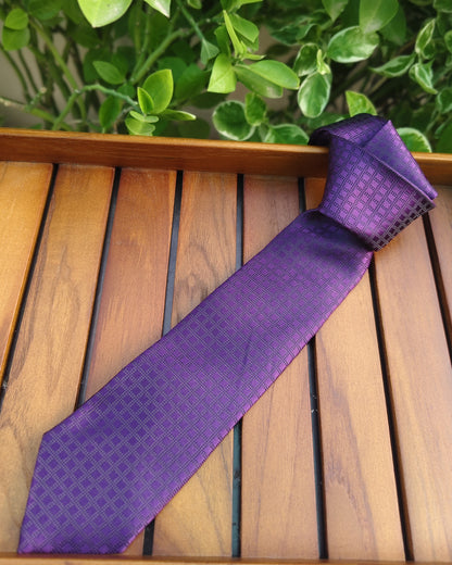 Peter England Purple Formal Necktie