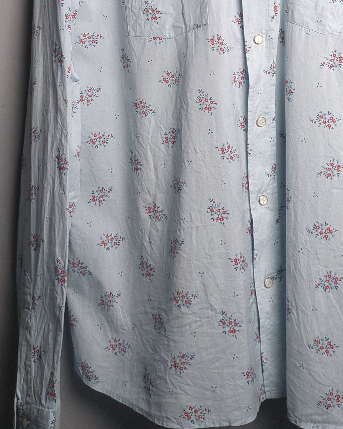 Hollister Blue Western Shirt