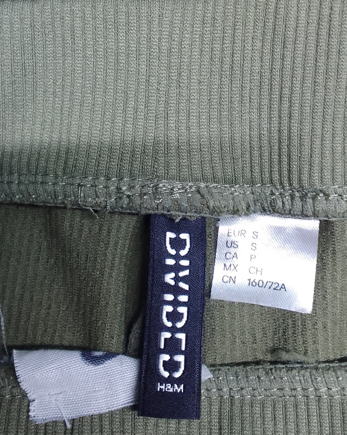 Divided Green Ribbed Shorts