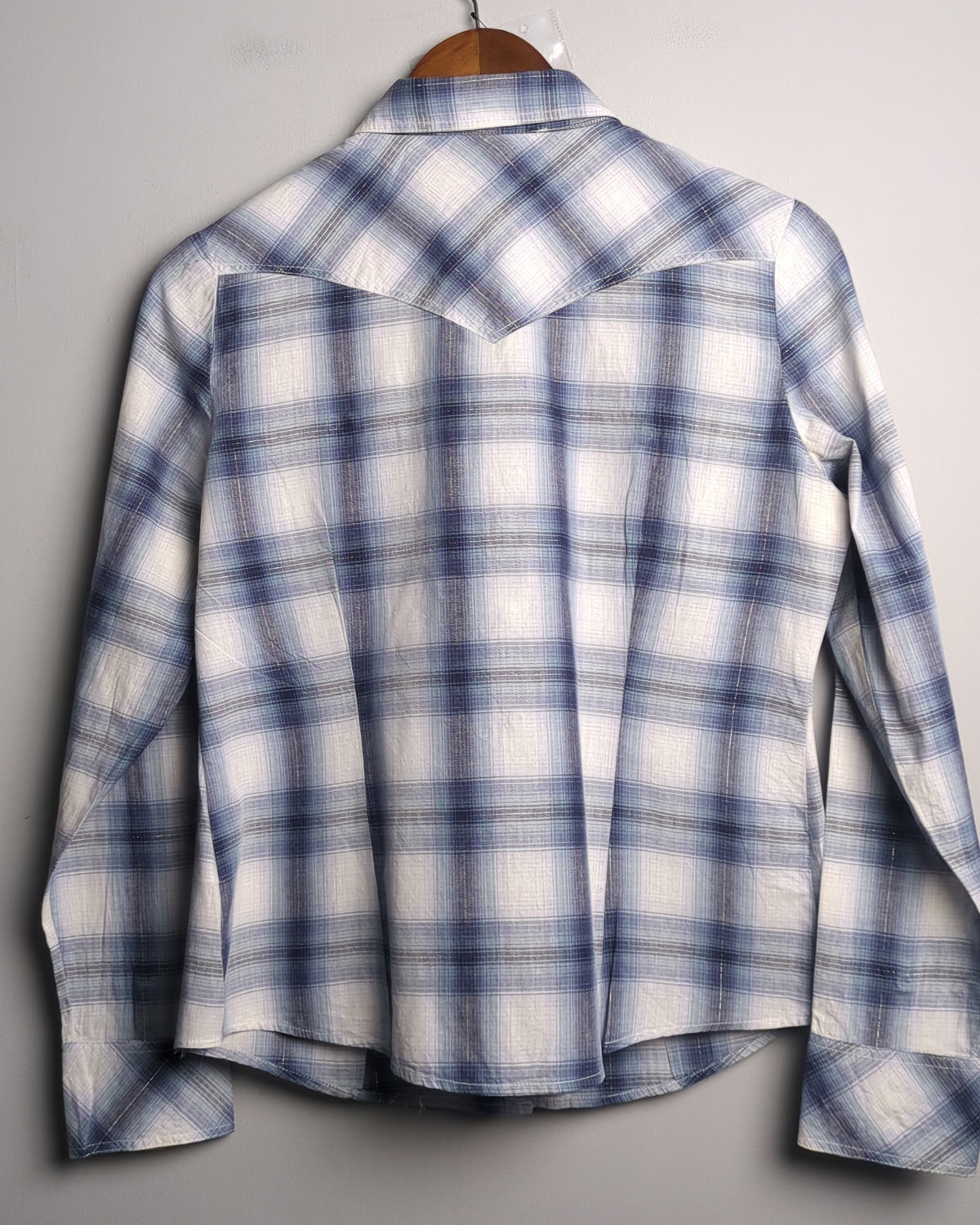 Suzy Blue Plaid Shirt
