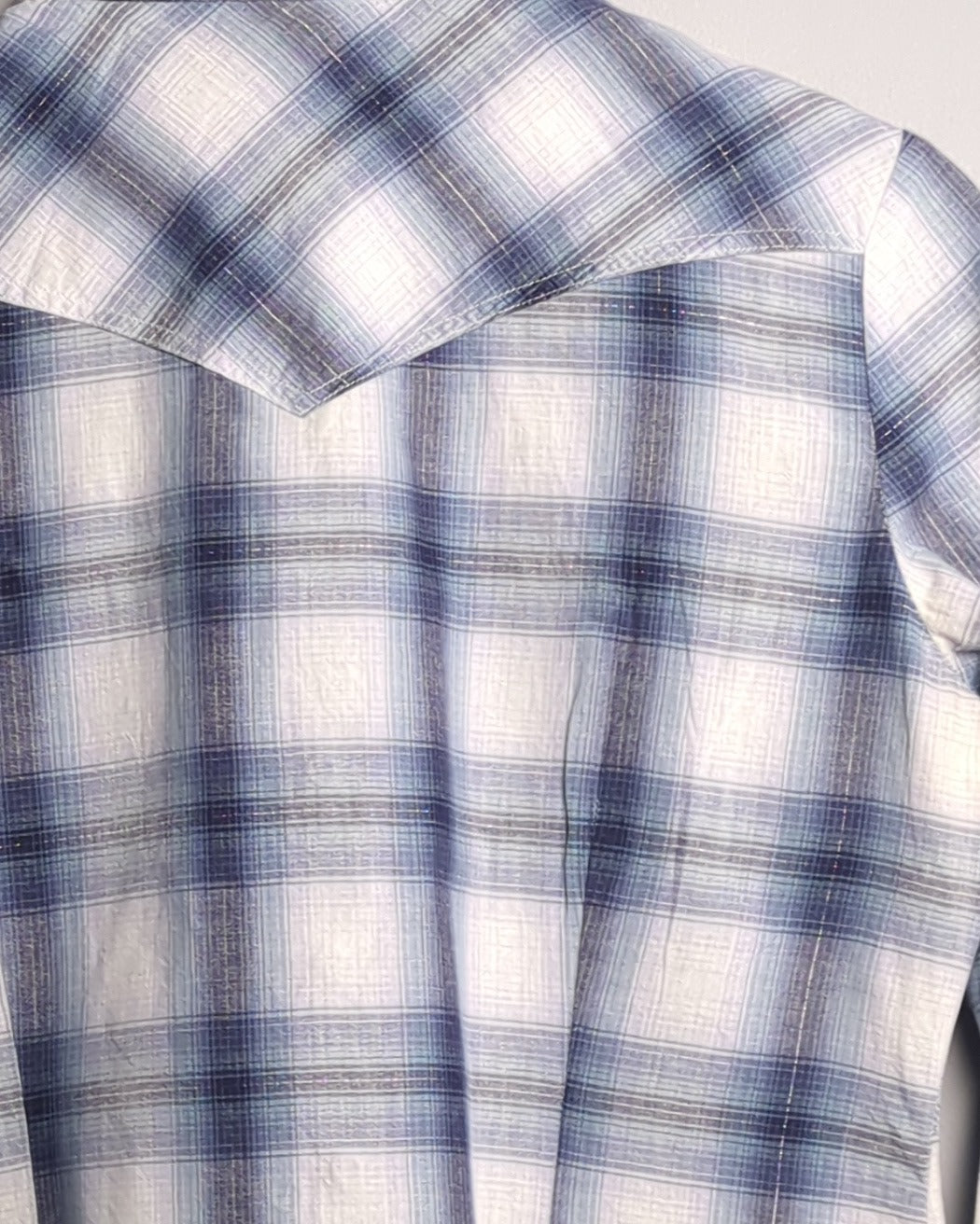 Suzy Blue Plaid Shirt