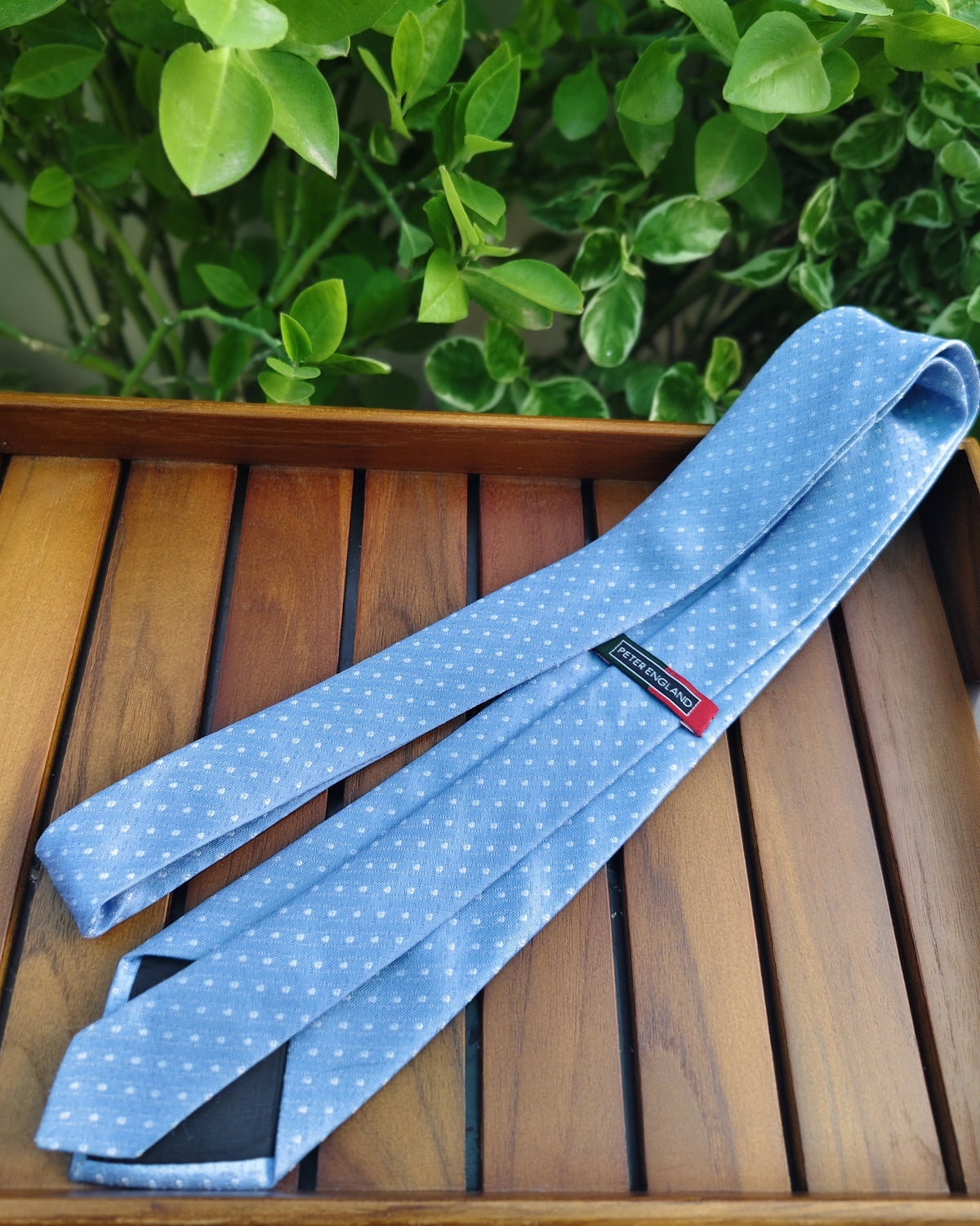 Peter England Blue Polka-Dot Tie