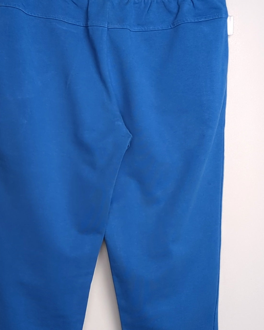 Reebok Blue Athletic Joggers