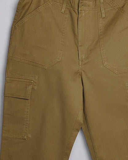 Levis Brown Cargo Pants